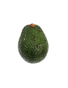 AGUACATE INJERTO KILO