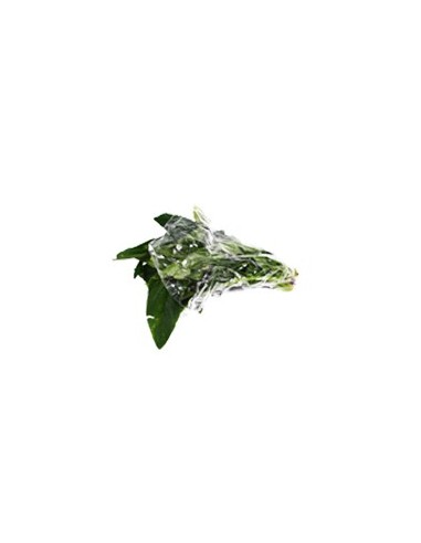 ESPINACA BOGOTANA KILO