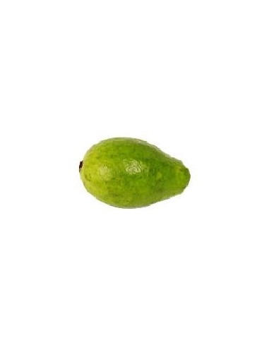GUAYABA PERA KILO
