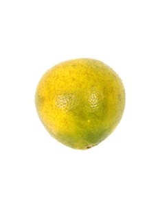 NARANJA TANGELO KILO