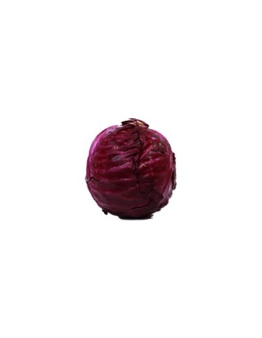 REPOLLO MORADO KILO