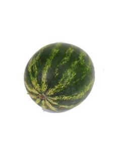 SANDIA KILO