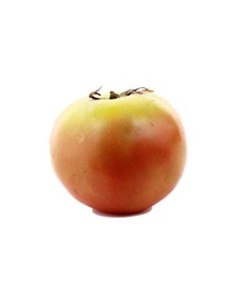 TOMATE LARGA VIDA KILO