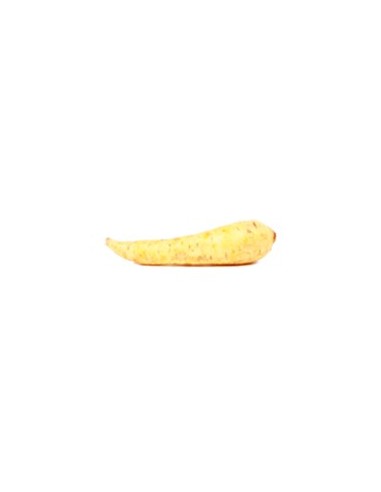 ARRACACHA KILO