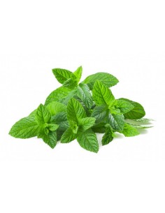 ALBAHACA FRESCA KILO