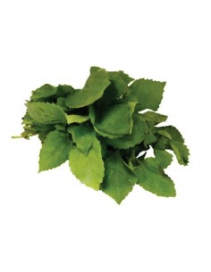 HIERBAS AROMATICAS GUASCA 50g