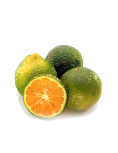 LIMON MANDARINA KILO