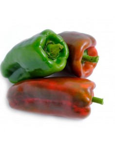 PIMENTON DE COLORES KILO