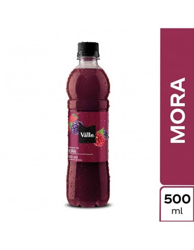 JUGO DEL VALLE FRUTAL MORA BT500ML
