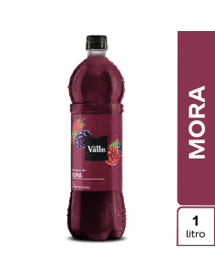 JUGO DEL VALLE FRUTAL MORA...