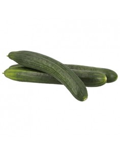 PEPINO EUROPEO KILO