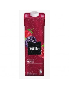 JUGO DEL VALLE FRUTAL MORA...
